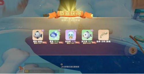 钓了条鲨鱼吗