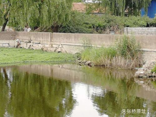 柴门二郎任务第五块石板怎么得