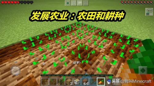我的世界