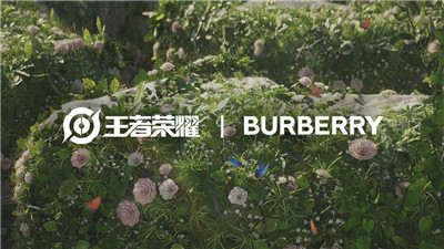 王者荣耀供应商