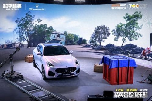 tgc限定是什么意思