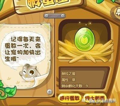 赫拉在哪获得