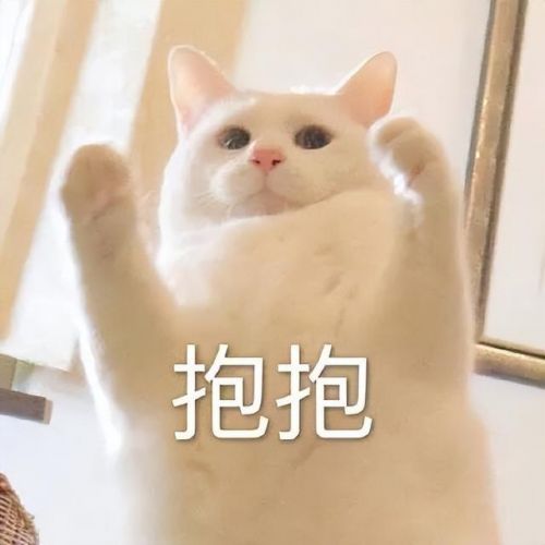 传奇怎么看地图盟重