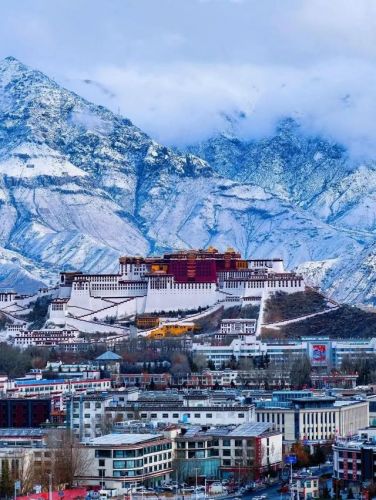 化圣雪原的雾怎么去除