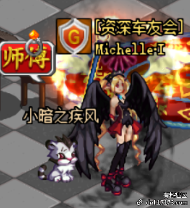 dnf菲尼克斯宠物幻化