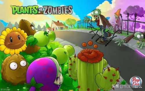 pvz坚果