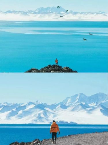 化圣雪原的雾怎么去除
