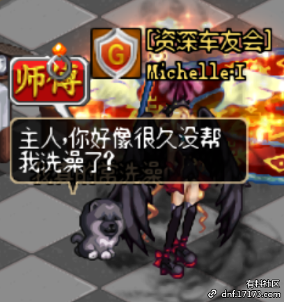 dnf菲尼克斯宠物幻化