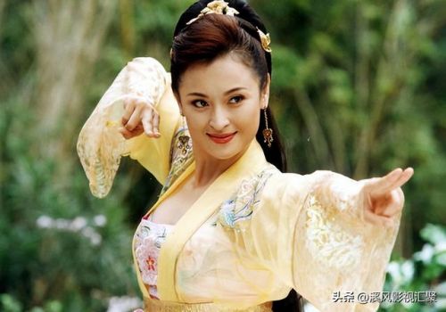 天龙八部电视剧杨天佑版全集免费