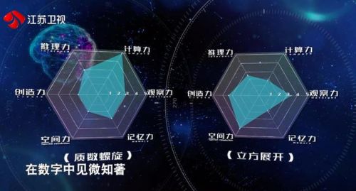 最强大脑所有关卡答案