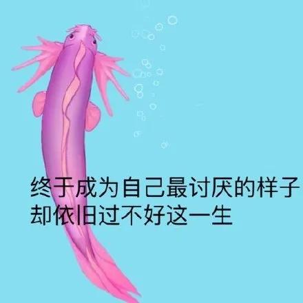 召唤神龙2