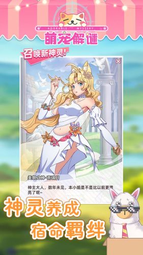 萌宠解谜美貌礼盒点几下