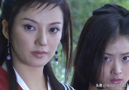 天龙八部电视剧杨天佑版全集免费