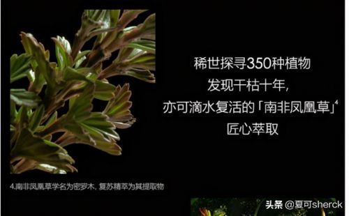 黑上必须要钥匙吗