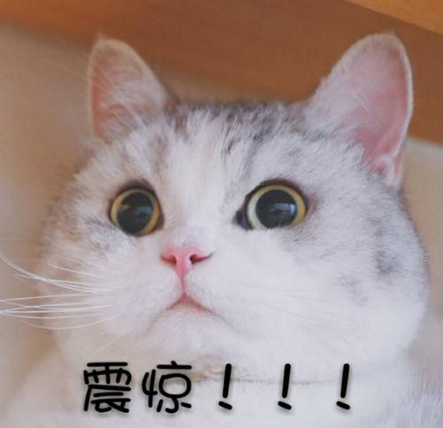 三国战纪2全关卡攻略