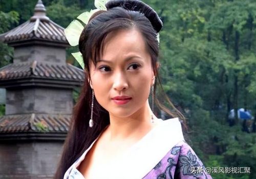 天龙八部电视剧杨天佑版全集免费