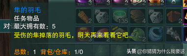 剑网三丐帮天隼击任务流程