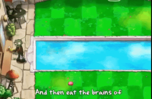 pvz坚果