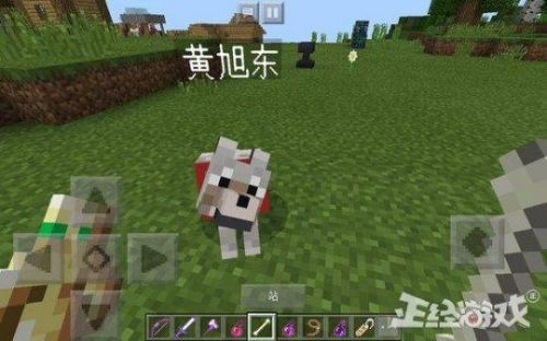 魔兽神之浩劫隐藏密码