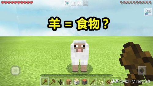 我的世界