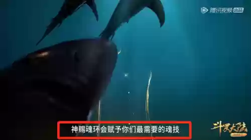 新斗罗大陆最强阵容