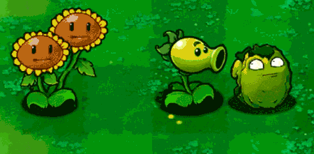 pvz坚果