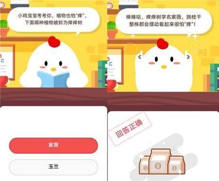 什么植物碰了奇痒无比