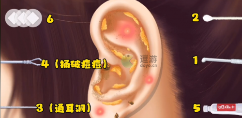 动物世界大冒险