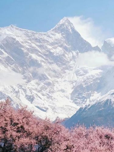 化圣雪原的雾怎么去除