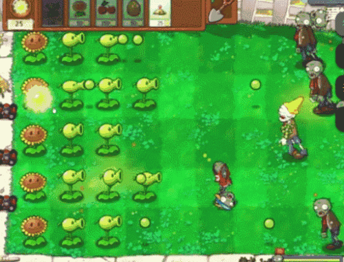 pvz坚果