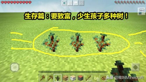 我的世界