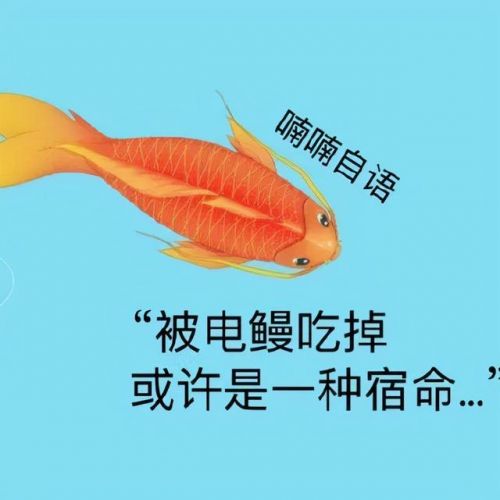 召唤神龙2