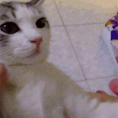 黑上必须要钥匙吗