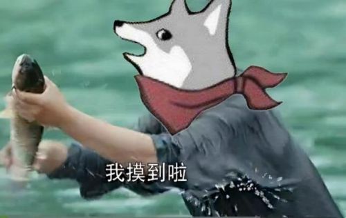 ap龙女打野出装
