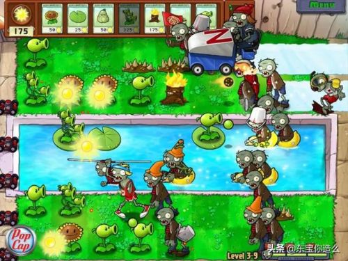 pvz坚果